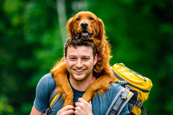 男性におんぶされている犬