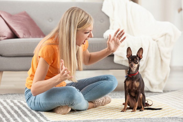 感情的な女性に叱られる犬