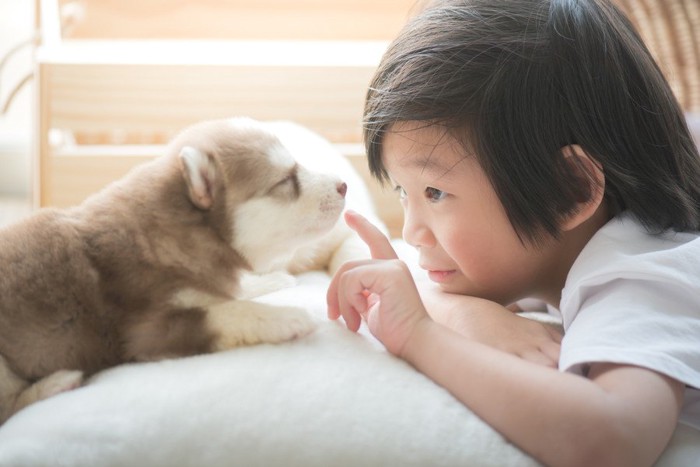 子供と子犬