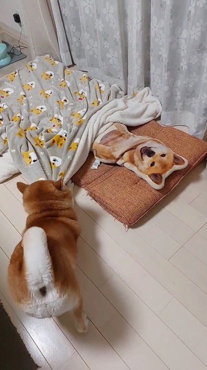 毛布を咥える犬