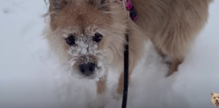 雪まみれ