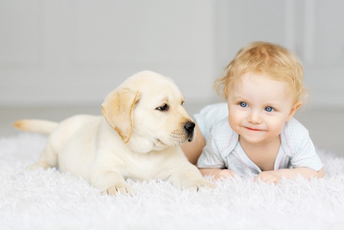 赤ちゃんと子犬