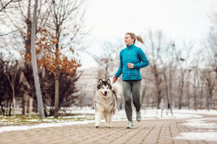 一緒にランニングする犬と女性