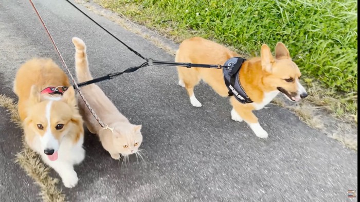 仲良しな3人組