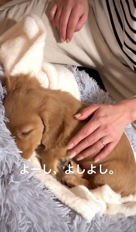 あっという間に眠りについた♡