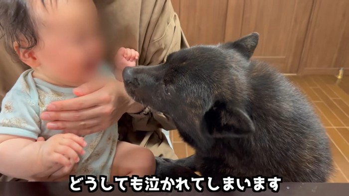 赤ちゃんに泣かれる一休さん