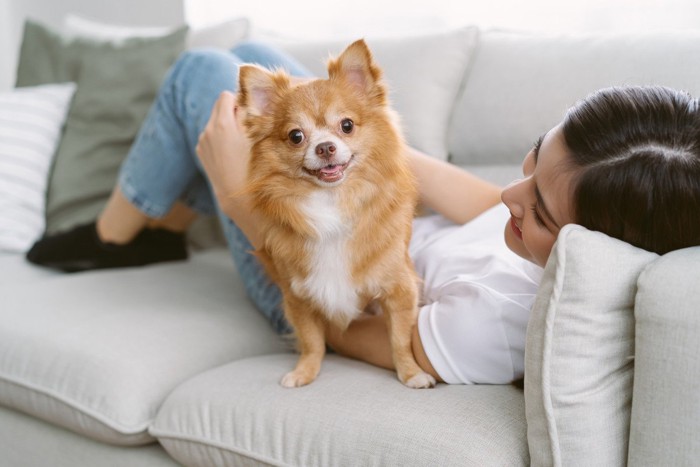 ソファーでくつろぐ人と犬