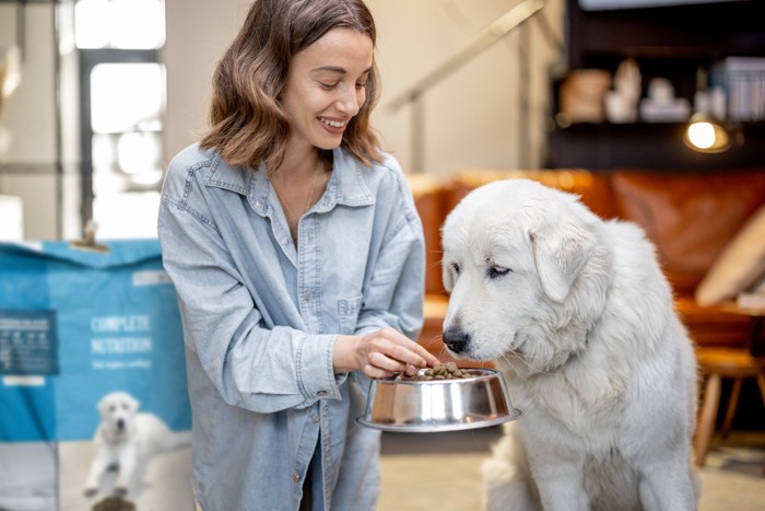 ドッグフードと見せる女性と白い大型犬