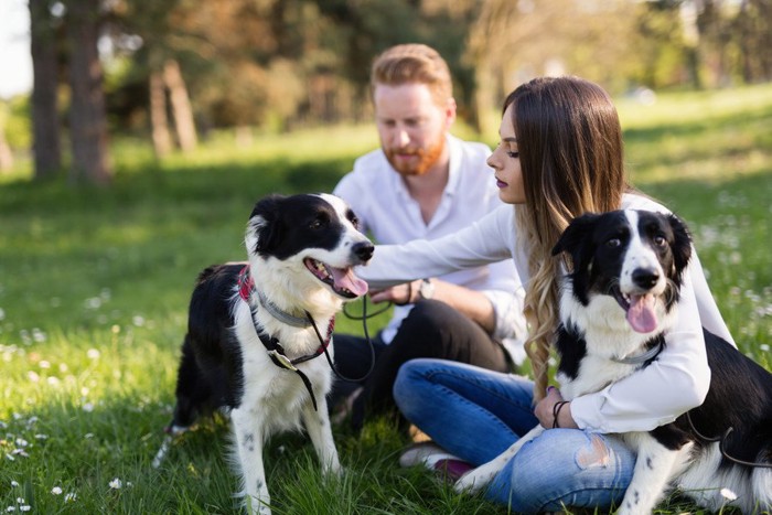 夫婦と2匹の犬