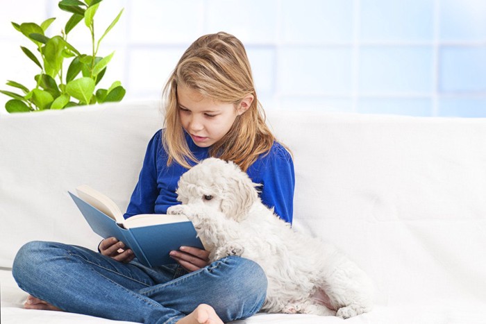 本を読む少女の邪魔をする犬