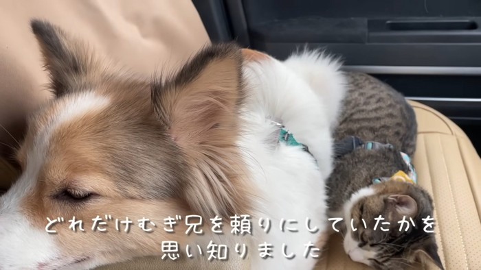 車に乗るとブルブル震えてしまう