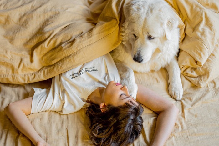 ベッドで熟睡している女性を見つめる大型犬