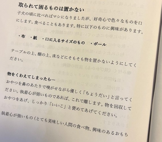 内容が可愛すぎる