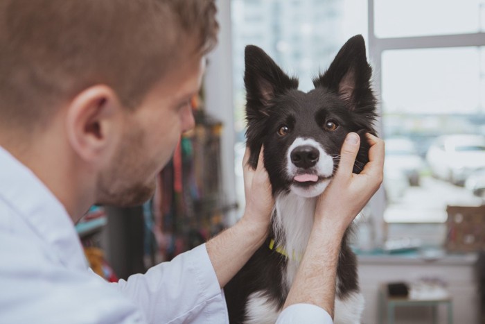 口元を診察される犬