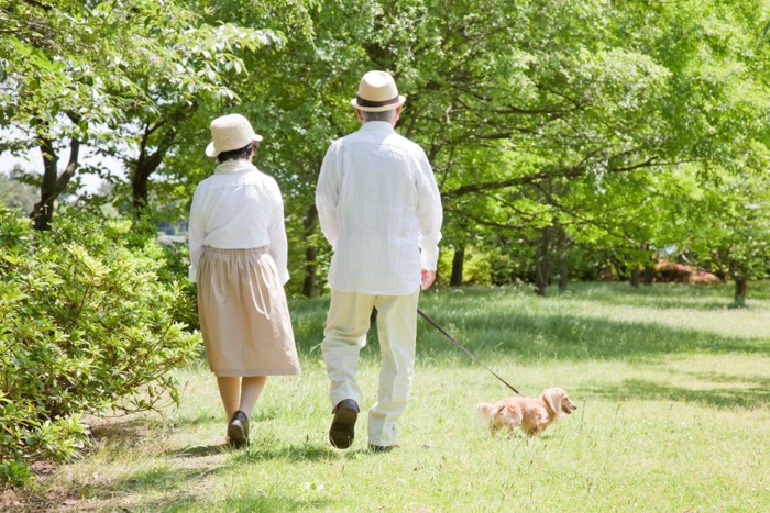 散歩する犬と老夫婦の後ろ姿