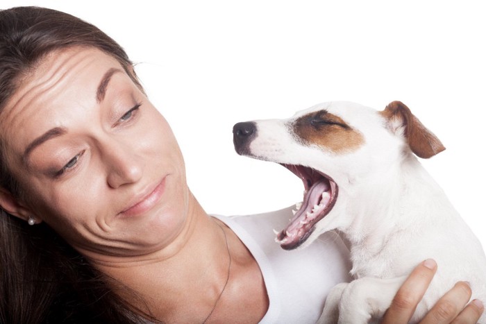 女性と犬