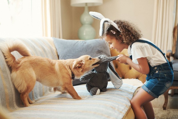 ぬいぐるみを取り合う犬と少女