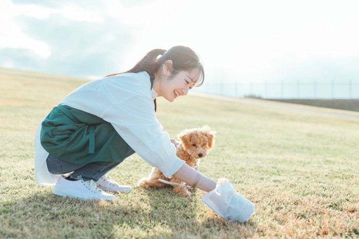 犬のウンチを処理する女性