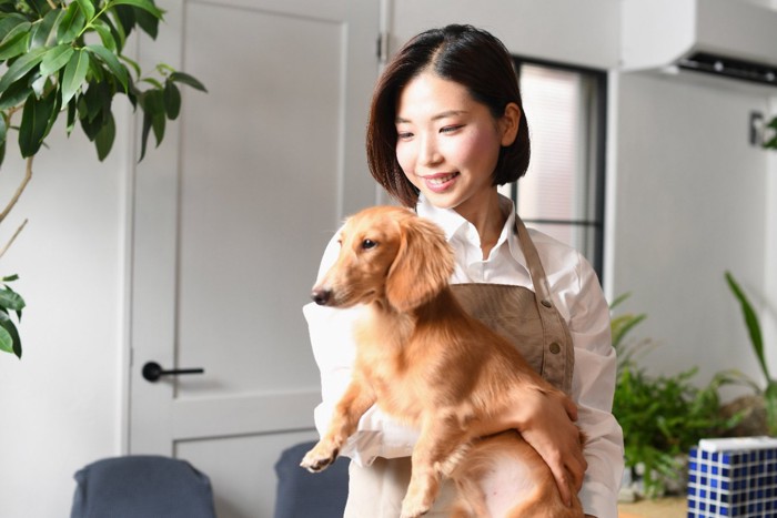 犬を抱っこするトリマー