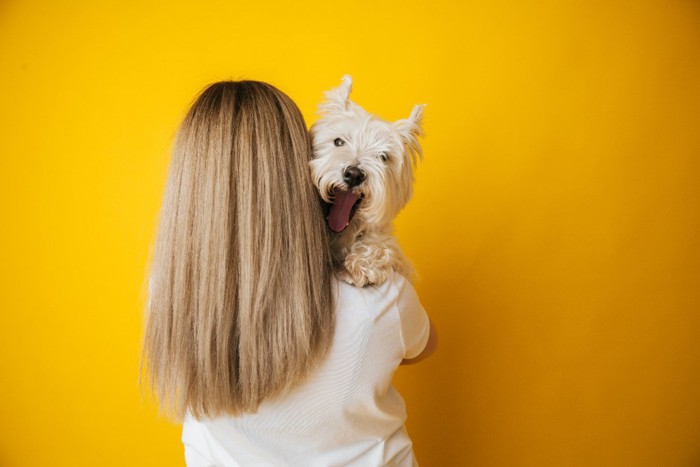 犬を抱っこする女性の後ろ姿