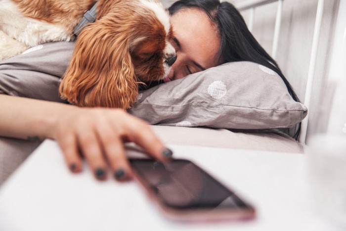 女性の顔を舐める犬