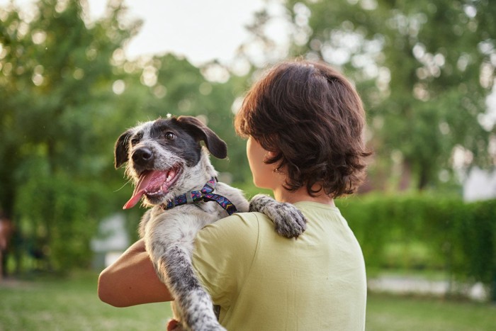 抱っこされている垂れ耳の犬