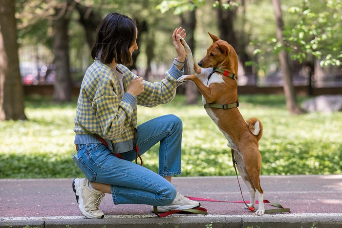 ハイタッチする犬と飼い主