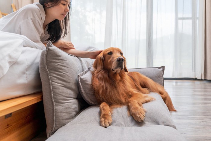 一緒に眠る女性と犬