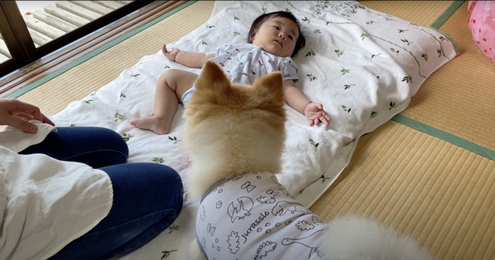寝ている赤ちゃんと犬