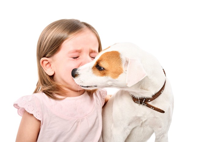 泣く子供をあやす犬、白い背景