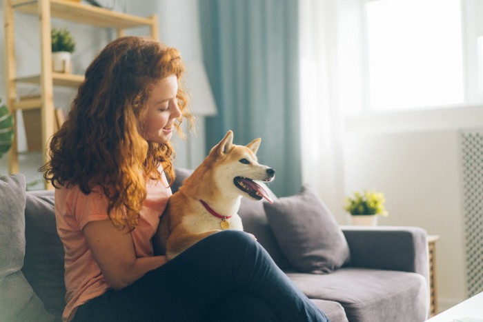 ソファの上でくつろぐ犬と女性