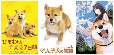 柴犬が出てくる映画・漫画