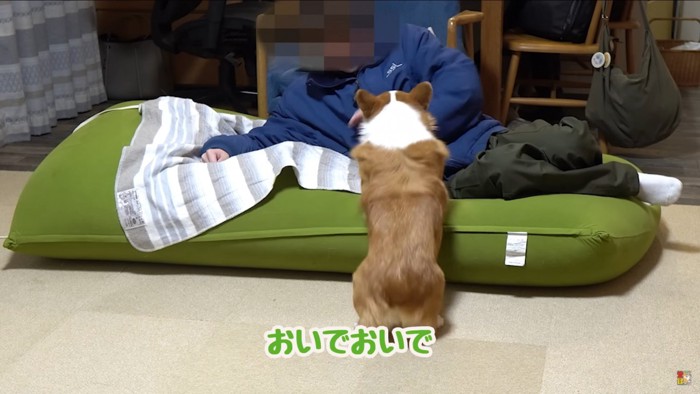 お兄ちゃんの隣へ…