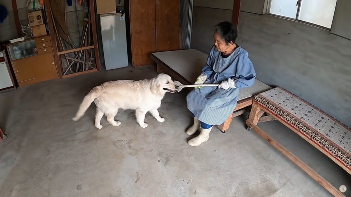 田舎で暮らすメイちゃん