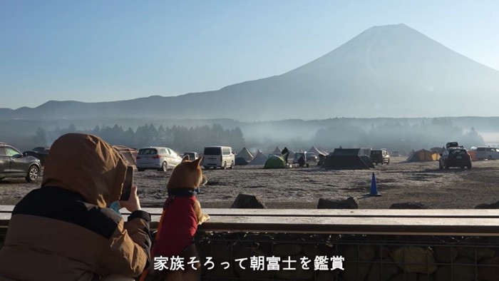 富士山を眺める久兵衛くん