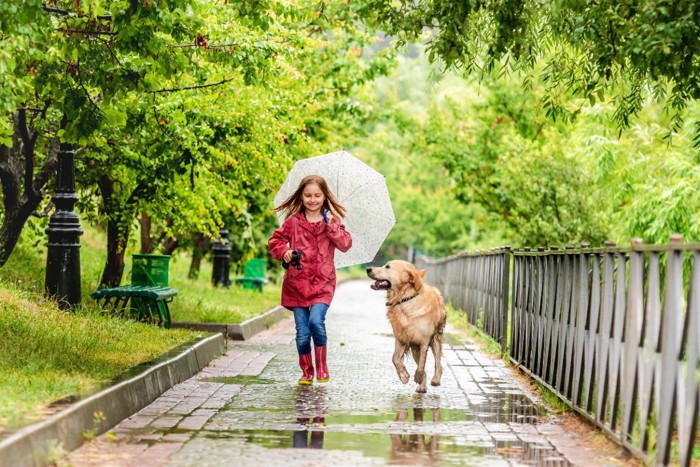 雨の中で散歩する犬と少女