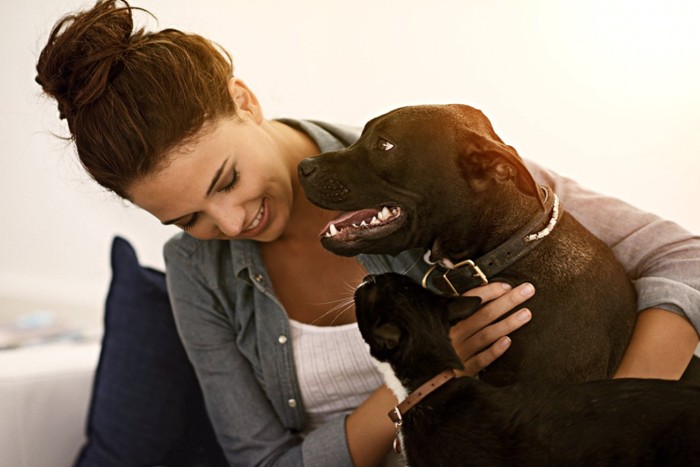 女性を見つめる犬