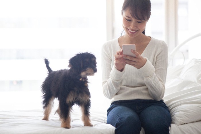 スマホをいじる女性と見つめる犬