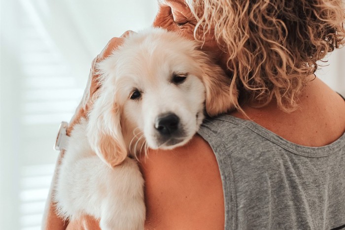 女性にハグされる大型犬の子犬