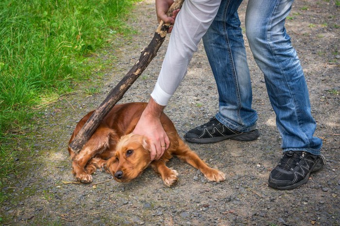 犬を押さえつけて棒で叩こうとする人