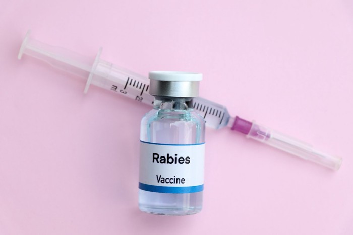 狂犬病ワクチンのイメージ画像
