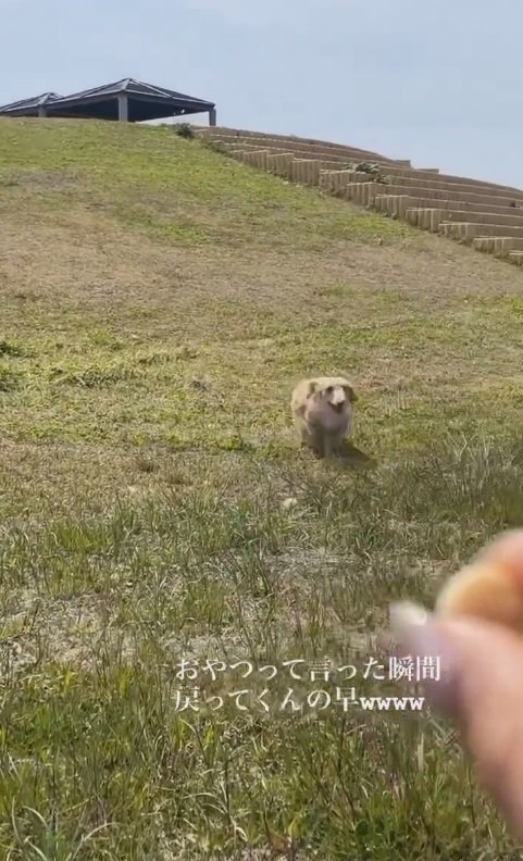 ニッコニコな表情がカワイイ♡