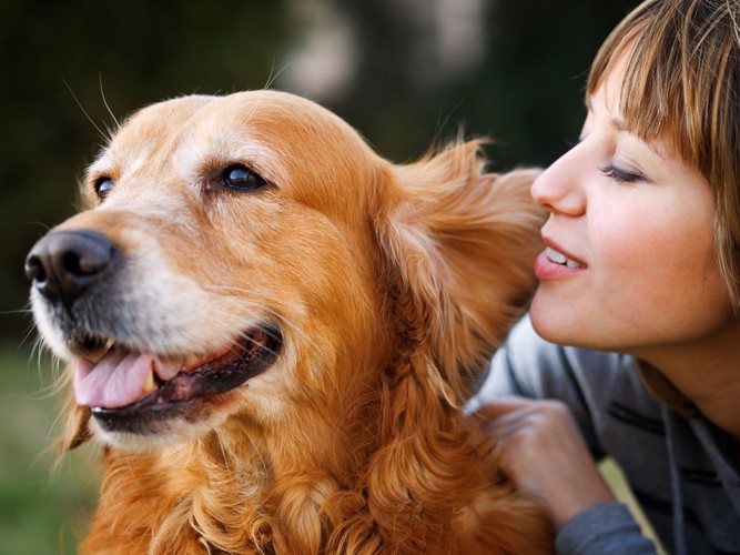 犬に話しかける女性