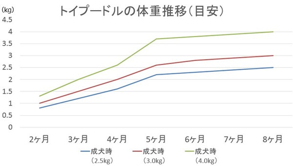 トイプードルの体重推移の目安グラフ