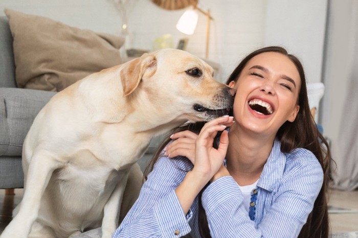 鼻キスする犬と女性