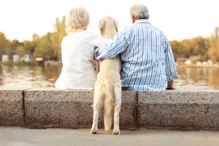 男性と女性と犬の後ろ姿