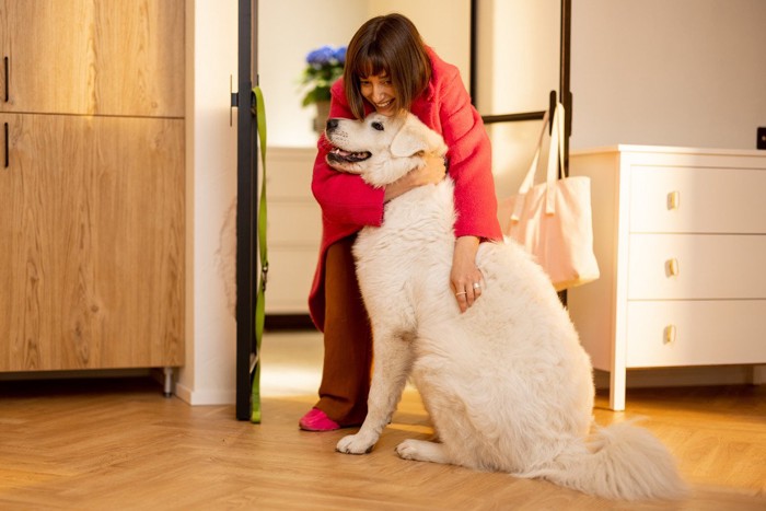 女性に抱きしめられる犬