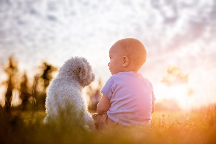 並んで座る子犬と幼児