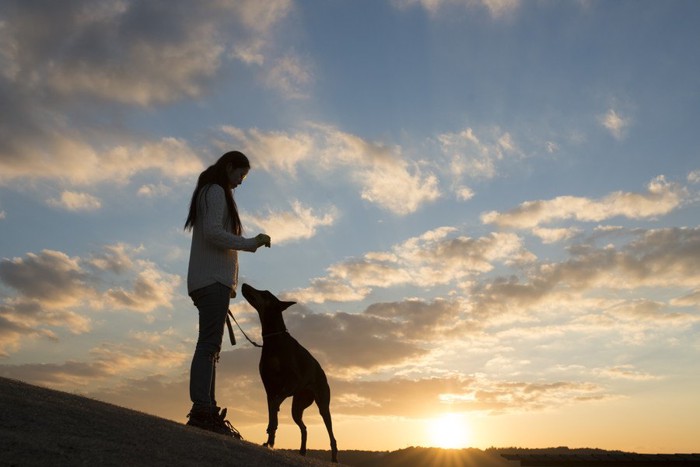 犬と女性