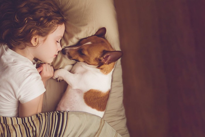 犬と眠る女の子